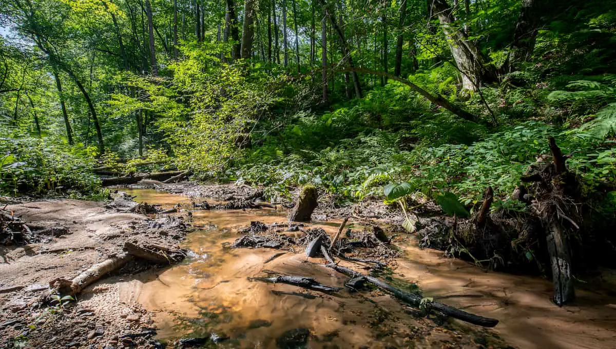 How to Find Arrowheads in Your Backyard