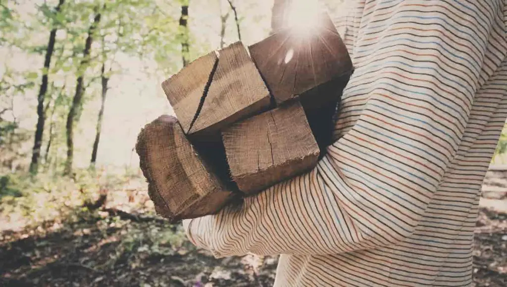man carrying firewood