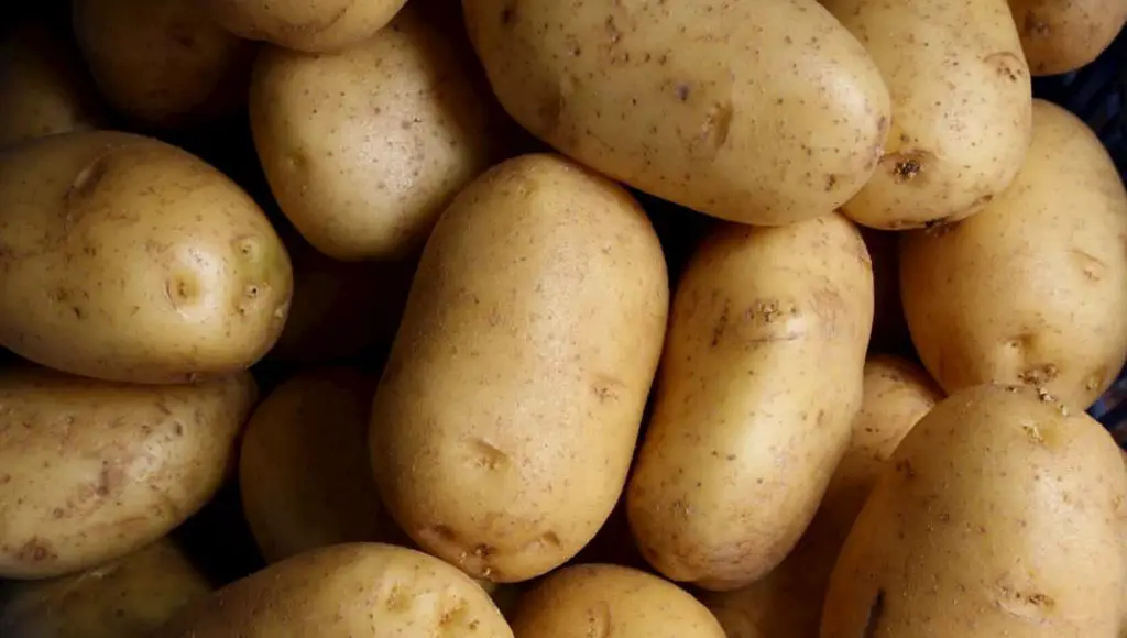 how to grow potatoes indoors