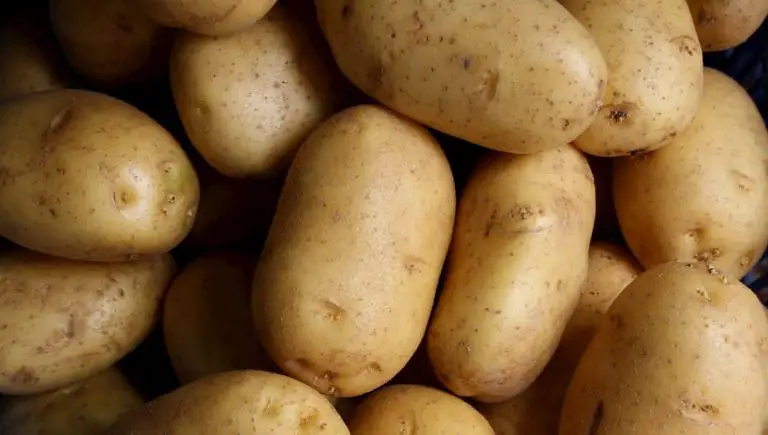 How to Grow Potatoes Indoors For a Healthier Lifestyle
