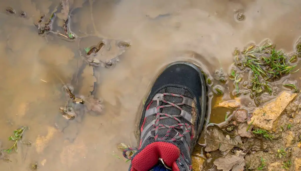 How To Fix A Muddy Driveway Fast and Easy