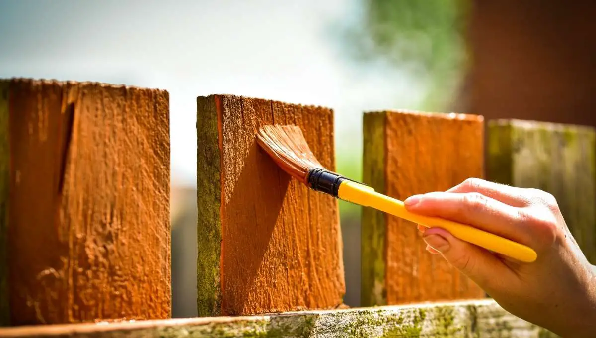 Can My Neighbor Paint My Fence On His Side - Yard Blogger