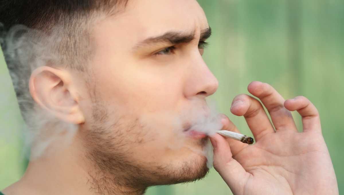 how to stop my neighbor from smoking weed
