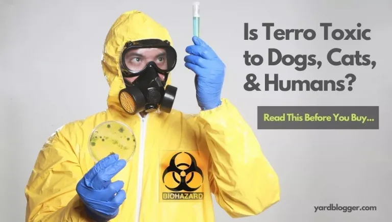 Is Terro Toxic to Dogs, Cats, & Humans? (Should You Buy?)
