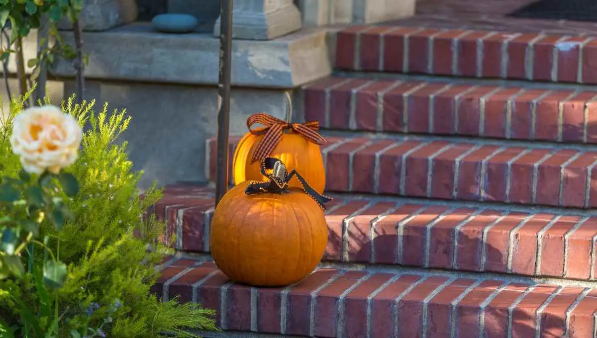 Is It Too Early to Decorate for Fall?