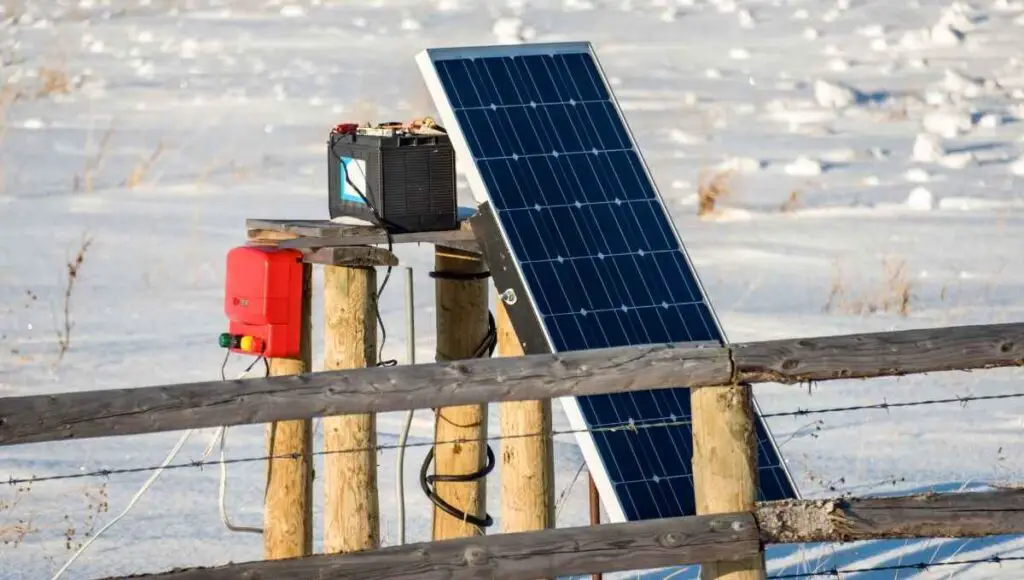 Can Plants Touch an Electric Fence? (Doing This Will Help)