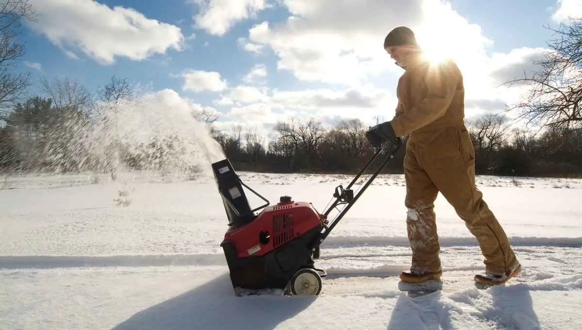 Do Snowblowers Take Regular Gas