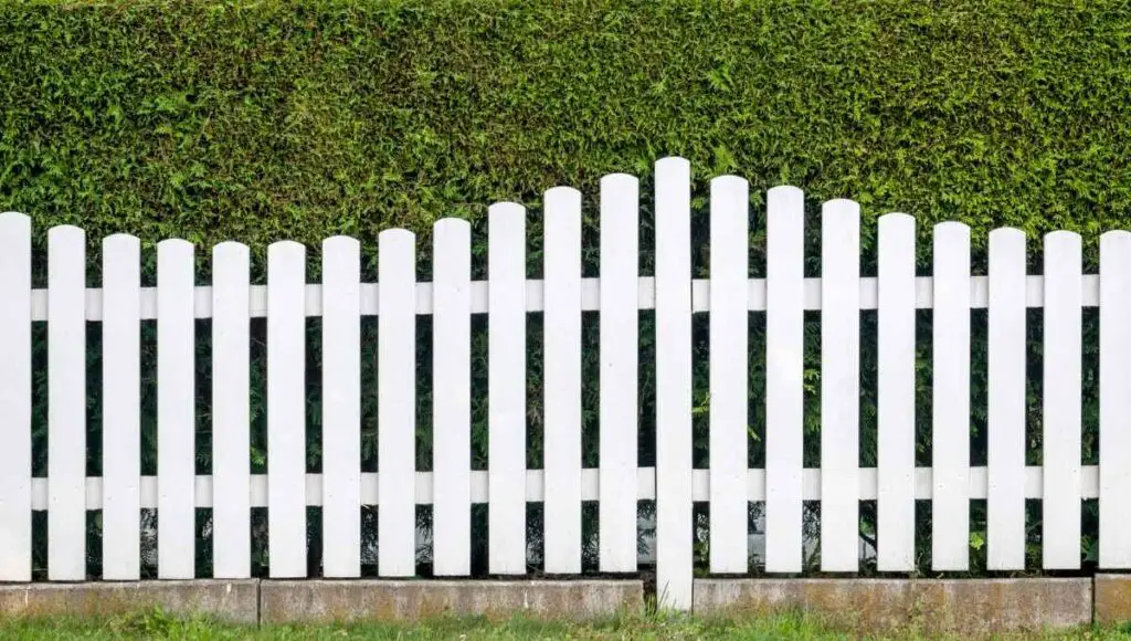 Can I Put Up a Fence Next to My Neighbor's Fence