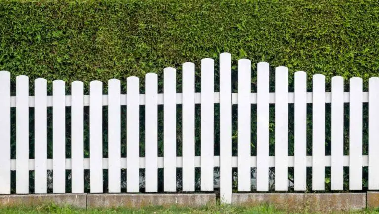 Can I Put Up a Fence Next to My Neighbor’s Fence? (Try This)