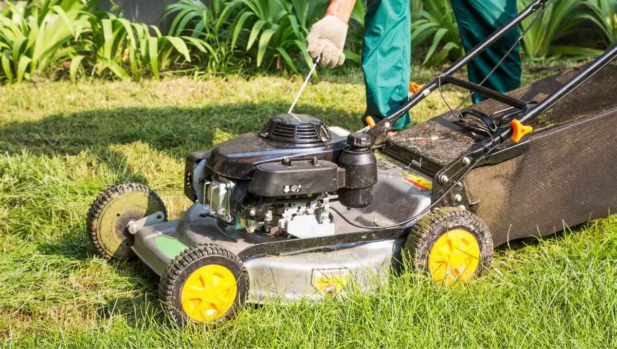 Do Lawn Mowers Take Regular Gas