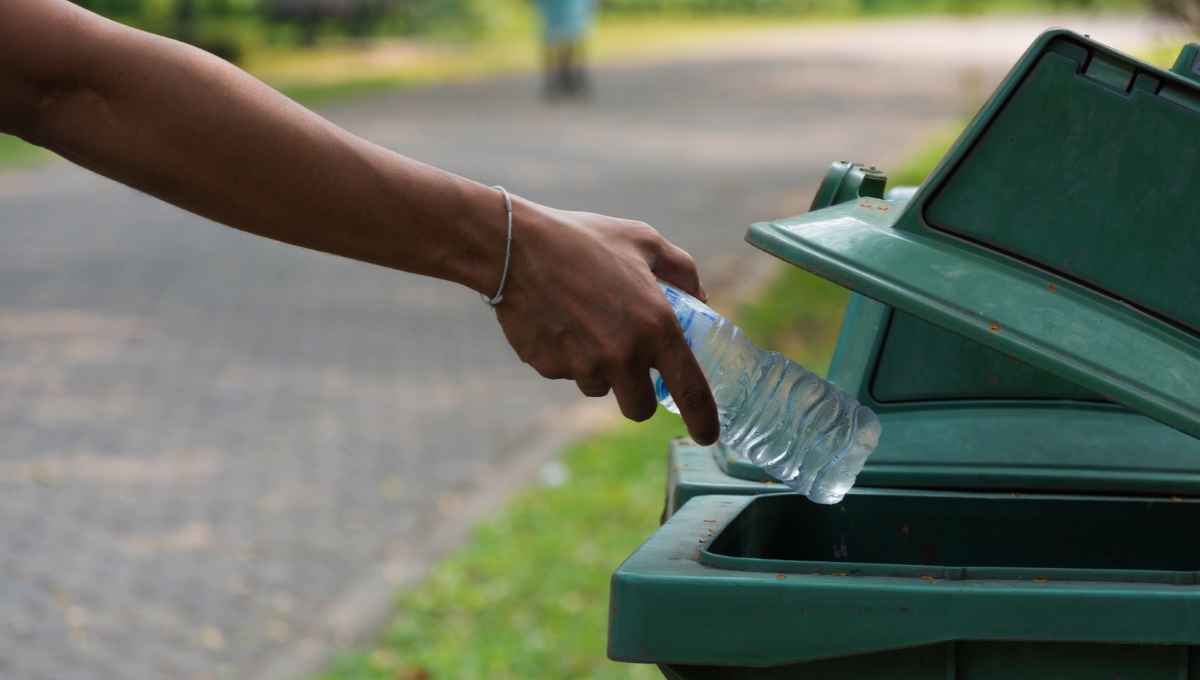 Why Are Outdoor Trash Cans So Expensive? (Budget Options)